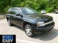 Black - TrailBlazer LS 4x4 Photo No. 1