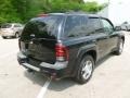 Black - TrailBlazer LS 4x4 Photo No. 7