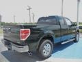 2012 Green Gem Metallic Ford F150 XLT SuperCab  photo #3