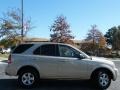 Gold Beige - Sorento LX Photo No. 6