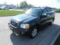 2005 Carbon Black Metallic GMC Envoy XL SLT 4x4  photo #7