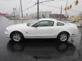 2009 Performance White Ford Mustang V6 Coupe  photo #4