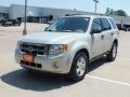 Silver Metallic - Escape XLT V6 Photo No. 9