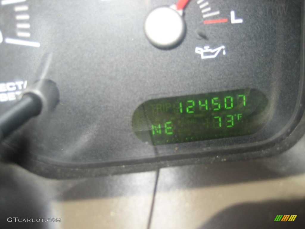 2004 Expedition XLT 4x4 - True Blue Metallic / Medium Flint Gray photo #12