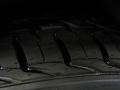 Gold Ash Metallic - Taurus SE Photo No. 30