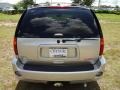 Liquid Silver Metallic - Envoy Denali Photo No. 8