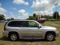 Liquid Silver Metallic - Envoy Denali Photo No. 10