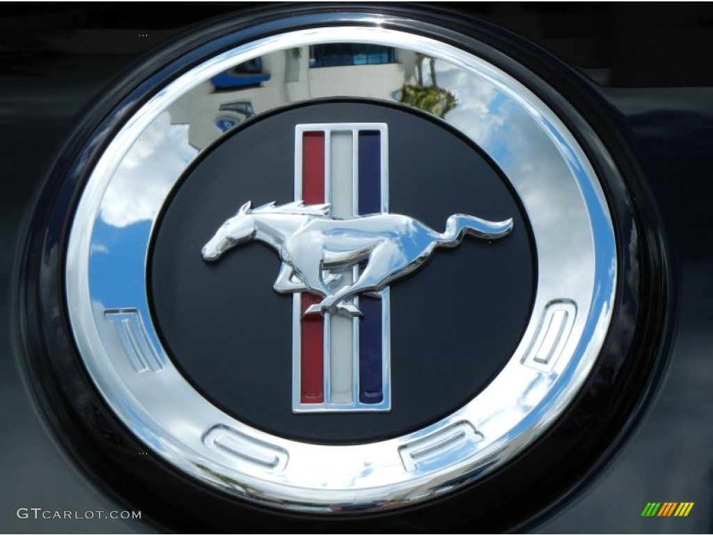 2013 Ford Mustang V6 Coupe Marks and Logos Photo #65317376