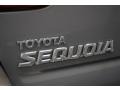 2001 Thunder Gray Metallic Toyota Sequoia SR5 4x4  photo #29