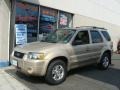 2007 Dune Pearl Metallic Ford Escape Limited 4WD #65307378