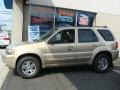 2007 Dune Pearl Metallic Ford Escape Limited 4WD  photo #3