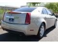 Gold Mist - CTS Sedan Photo No. 5