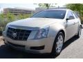 Gold Mist - CTS Sedan Photo No. 7