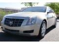 Gold Mist - CTS Sedan Photo No. 14