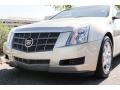 Gold Mist - CTS Sedan Photo No. 15