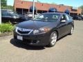 Grigio Metallic - TSX Sedan Photo No. 1