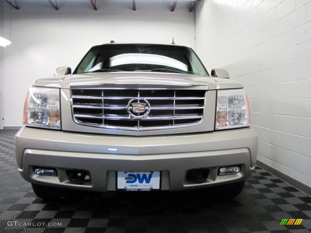 2006 Escalade ESV AWD - Quicksilver / Shale photo #3