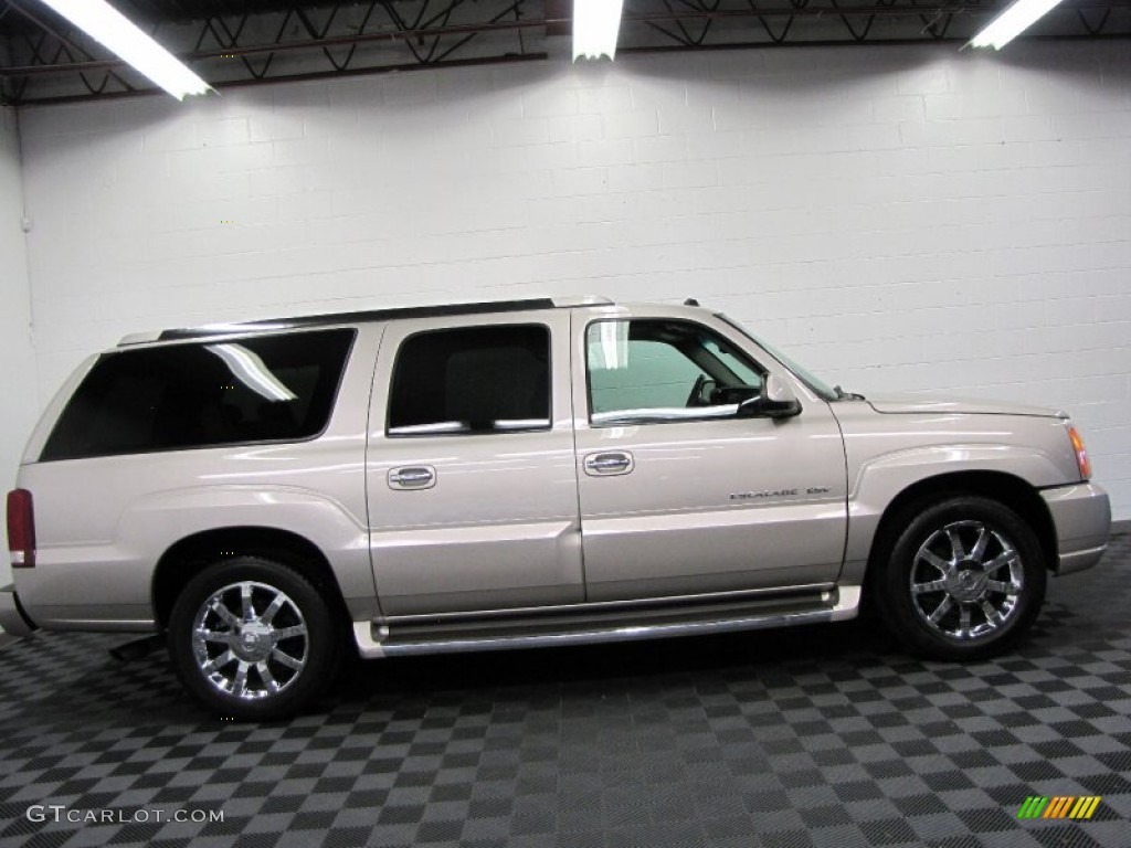 2006 Escalade ESV AWD - Quicksilver / Shale photo #9