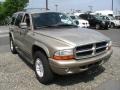 2003 Light Khaki Metallic Dodge Durango SLT 4x4  photo #3