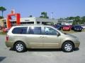 2007 Sunset Gold Kia Sedona LX  photo #8