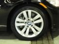 2010 Jet Black BMW 3 Series 335i xDrive Sedan  photo #28