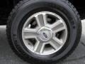 2005 Ford F150 XLT SuperCrew 4x4 Wheel and Tire Photo