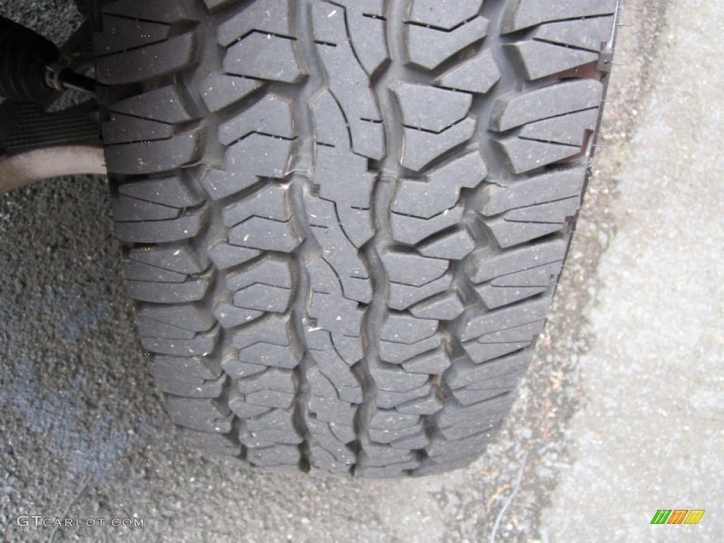 2005 F150 XLT SuperCrew 4x4 - Bright Red / Medium Flint Grey photo #29