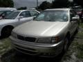 Pebble Beige Metallic - I 30 Photo No. 3