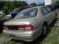 Pebble Beige Metallic - I 30 Photo No. 6