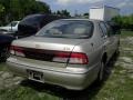 Pebble Beige Metallic - I 30 Photo No. 7