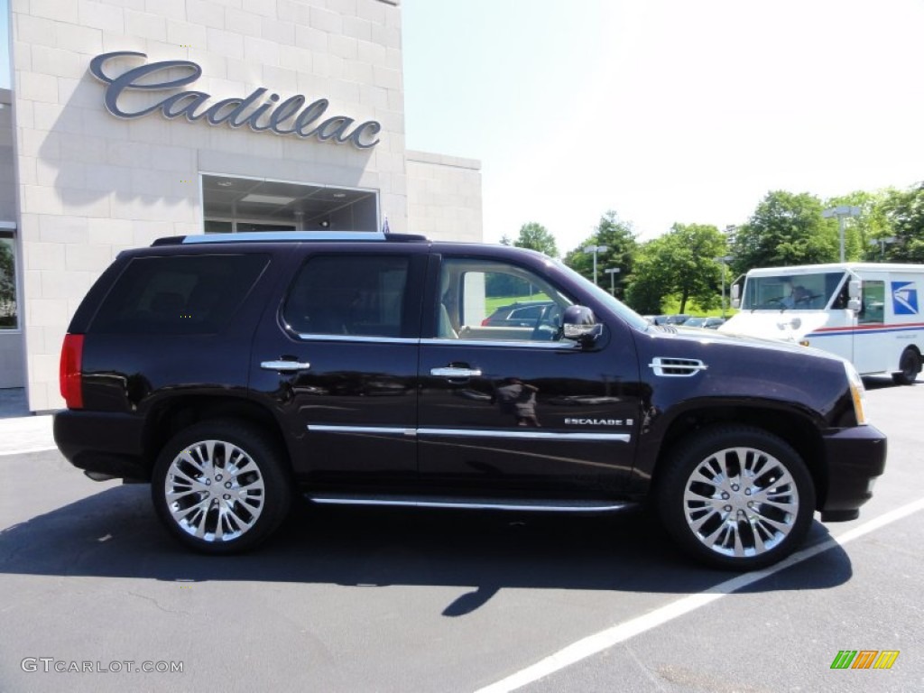 2009 Escalade AWD - Black Cherry / Cocoa/Cashmere photo #9