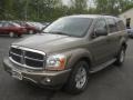 Mineral Gray Metallic - Durango Limited 4x4 Photo No. 1