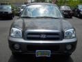 Black Obsidian - Santa Fe GLS 4WD Photo No. 16