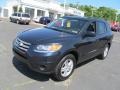 Pacific Blue Pearl - Santa Fe GLS Photo No. 5