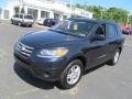 2012 Pacific Blue Pearl Hyundai Santa Fe GLS  photo #5