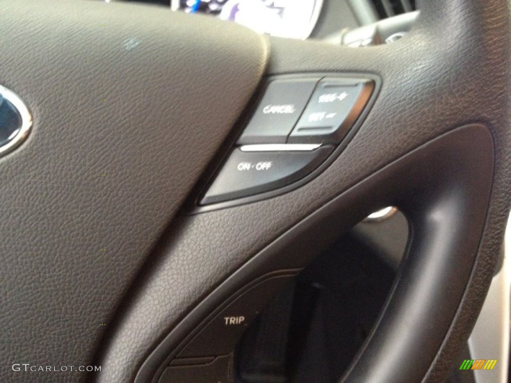 2011 Sonata SE - Venetian Red / Black photo #16