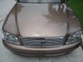 Copper Brown Pearl Metallic - LS 400 Photo No. 11
