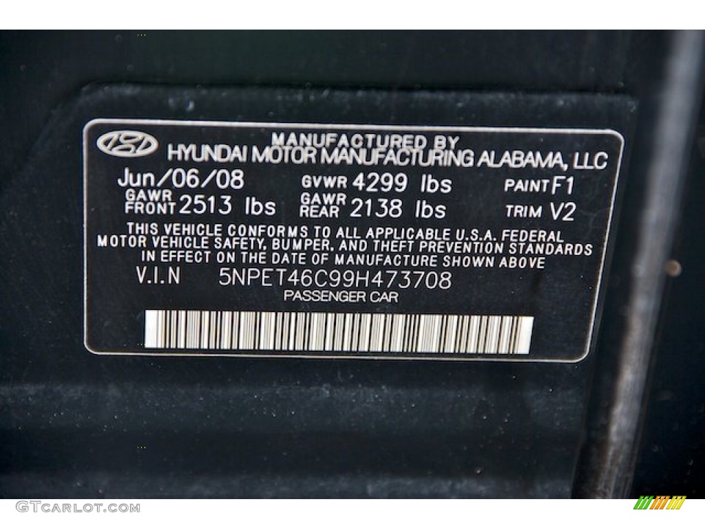 2009 Sonata Color Code F1 for Ebony Black Photo #65358921