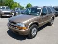Sandalwood Metallic - Blazer LS 4x4 Photo No. 3