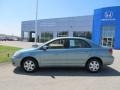 2007 Cactus Mica Toyota Corolla LE  photo #2