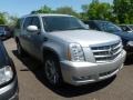 2010 Silver Lining Cadillac Escalade ESV Platinum AWD  photo #1