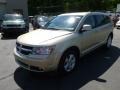 White Gold - Journey SXT Photo No. 3