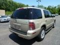 Light French Silk Metallic - Mountaineer V6 Premier AWD Photo No. 4