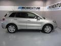 Palladium Silver Metallic - RDX Technology Photo No. 2