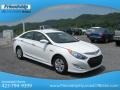 Porcelain White Pearl - Sonata Hybrid Photo No. 5