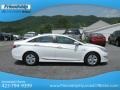 Porcelain White Pearl - Sonata Hybrid Photo No. 6