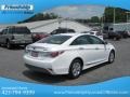 Porcelain White Pearl - Sonata Hybrid Photo No. 7