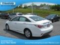 Porcelain White Pearl - Sonata Hybrid Photo No. 9