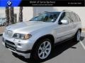 Titanium Silver Metallic 2006 BMW X5 4.8is