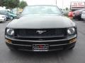 2005 Black Ford Mustang V6 Premium Convertible  photo #7